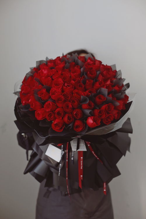 红玫瑰满天星花束图片大全,红玫瑰满天星百合花束图片