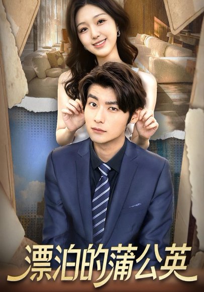 漂泊的蒲公英（60集）张馨然&舒畅 高清完整版